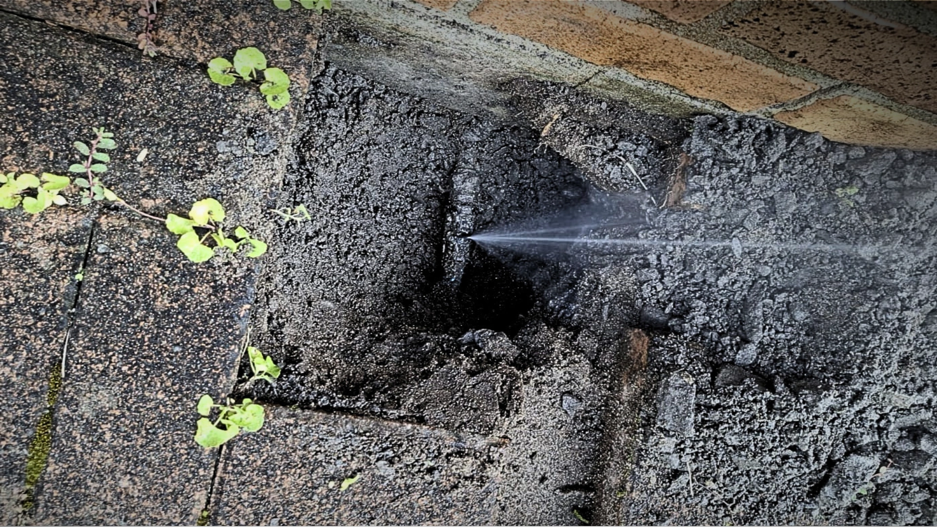24/7 Emergency Plumber Tauranga